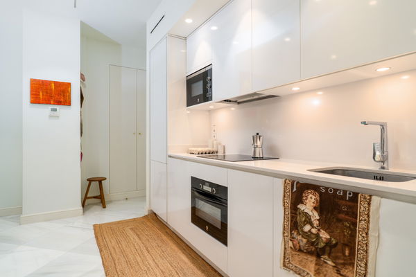 Historic elegant apartment in the heart of Málaga