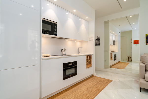 Historic elegant apartment in the heart of Málaga