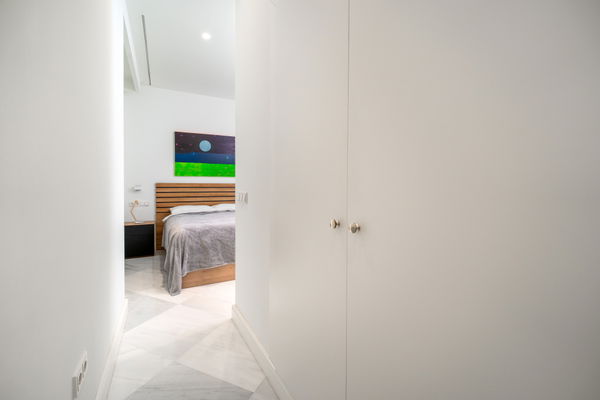 Historic elegant apartment in the heart of Málaga