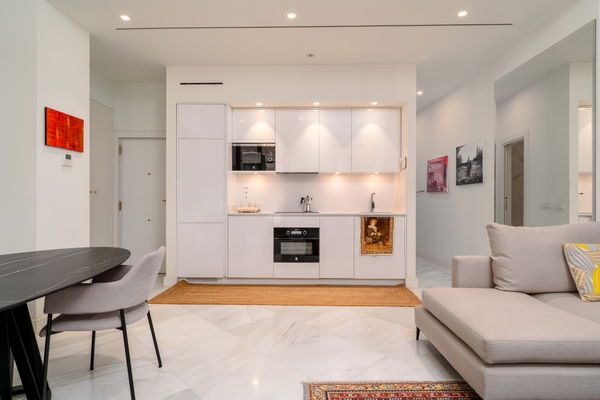 Historic elegant apartment in the heart of Málaga
