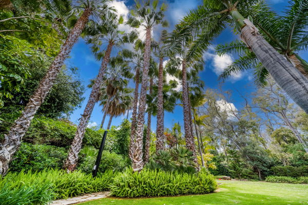 Exceptional large villa beachside, a unique opportunity in Guadalmina Baja, San Pedro de Alcantara