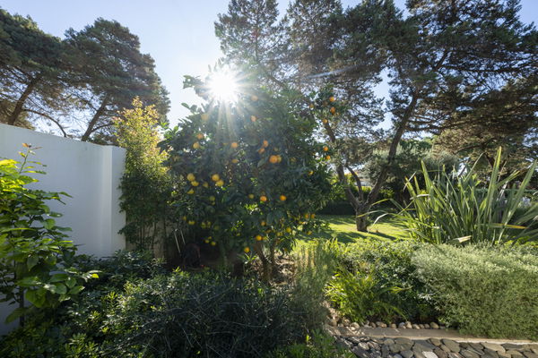 Elegant beachside villa in Marbesa: private and tranquil living just steps away from the beach
